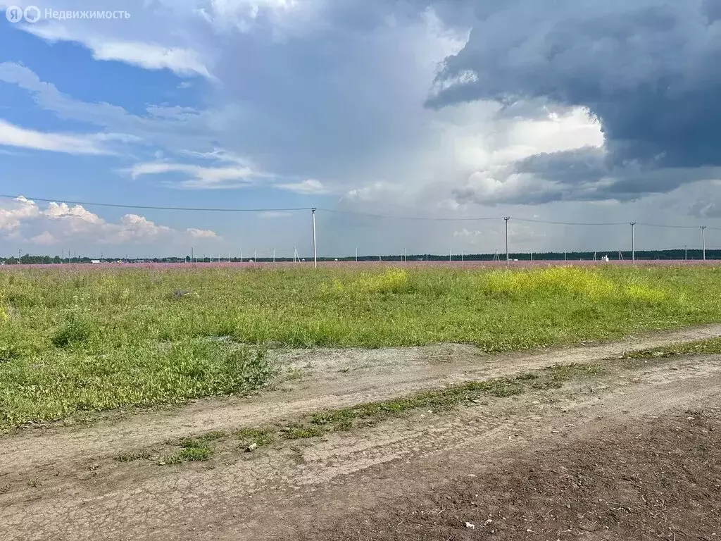 Участок в Свердловская область, Тугулымский муниципальный округ, село ... - Фото 0