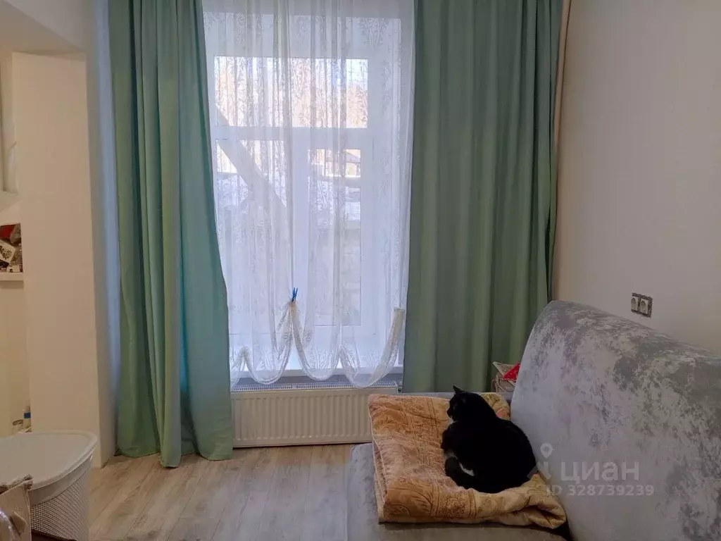 1-к кв. Калужская область, Боровск Коммунистическая ул., 1 (18.6 м) - Фото 1