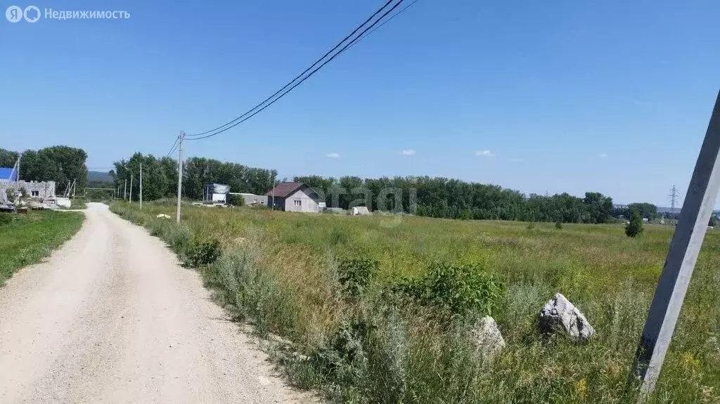 Участок в Искитимский район, Совхозный сельсовет, село Лебедёвка (12.9 ... - Фото 1