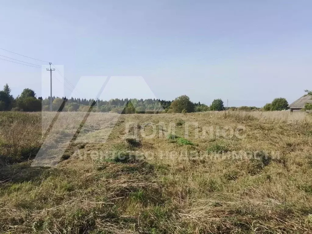 Участок в Вологодская область, Шекснинский муниципальный округ, д. ... - Фото 1