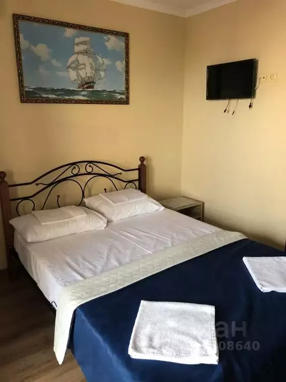 Комната Краснодарский край, Геленджик Голубая Бухта мкр, ул. Ольги ... - Фото 1
