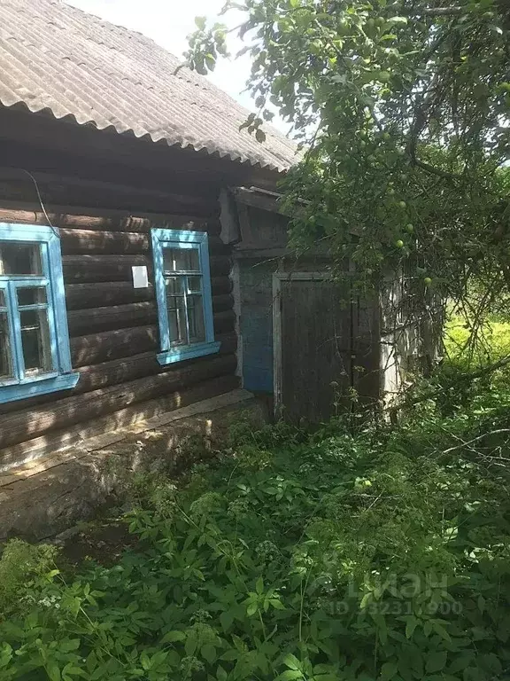 Участок в Ленинградская область, Сланцевский район, Выскатское с/пос, ... - Фото 2