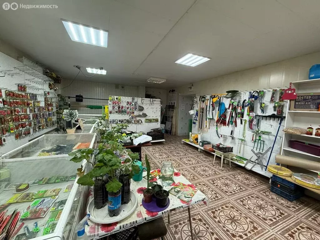 Помещение свободного назначения (230 м) - Фото 2