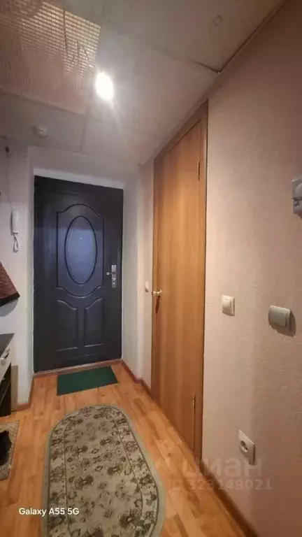 Студия Курганская область, Курган ул. Пичугина, 6 (19.0 м) - Фото 2