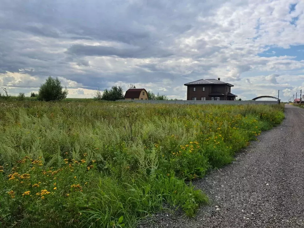 Участок в Московская область, Раменское ул. 100-й Свирской Дивизии, 81 ... - Фото 2