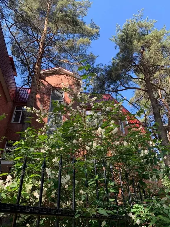 3-к кв. Ленинградская область, Всеволожск Коралловская ул., 12 (116.2 ... - Фото 2