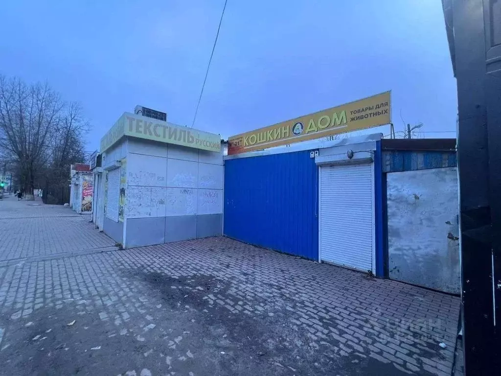 Торговая площадь в Брянская область, Брянск ул. Димитрова, 33 (45 м) - Фото 1