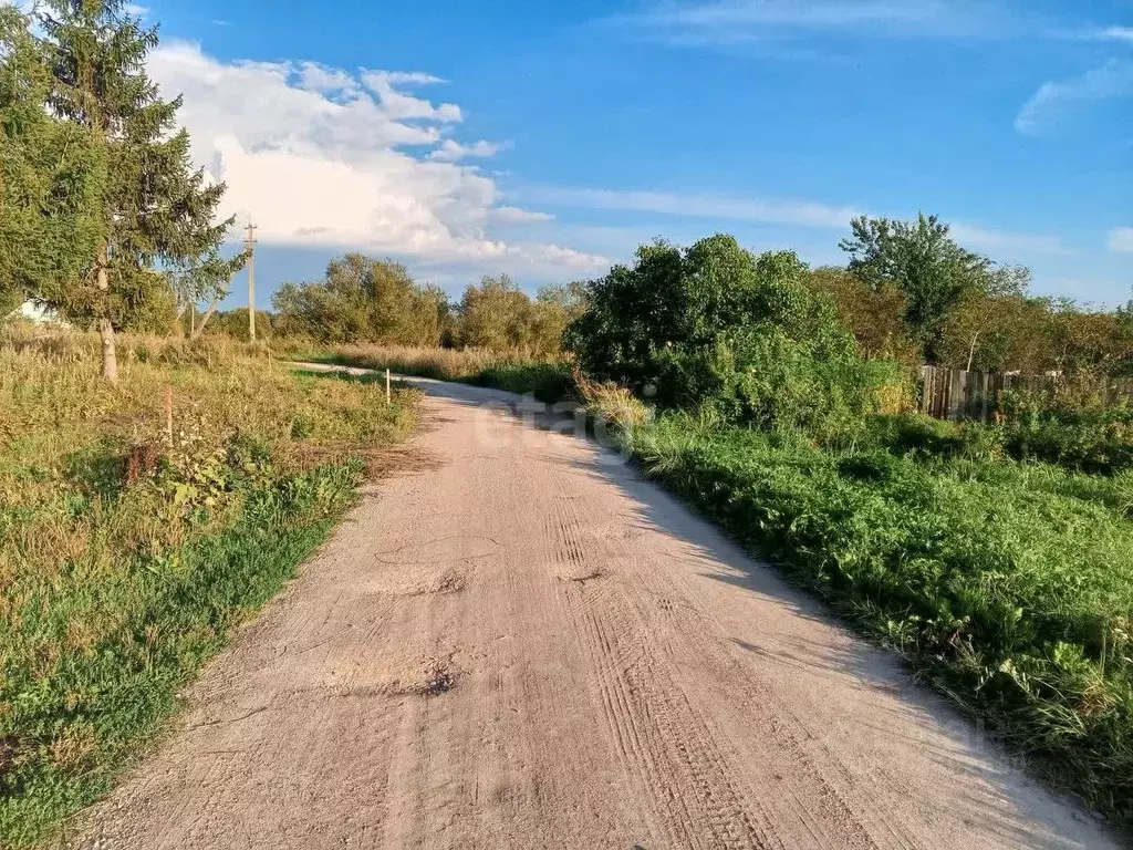 Участок в Псковская область, Островский район, Островская волость, д. ... - Фото 0