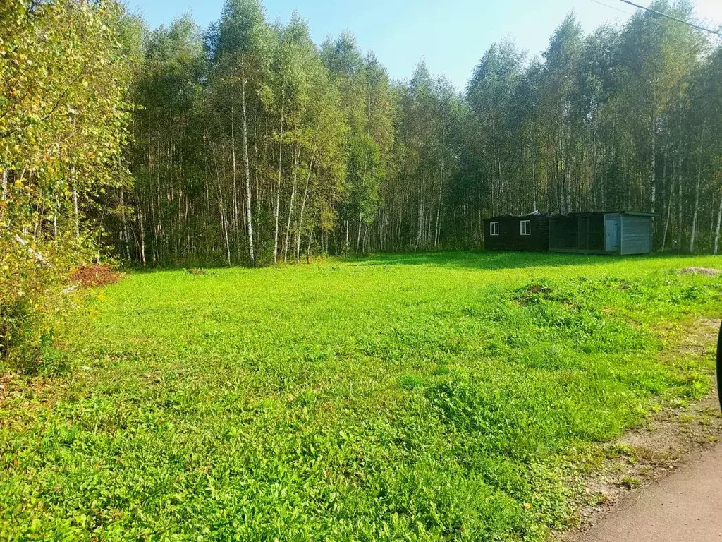 Участок в Московская область, Домодедово городской округ, с. Юсупово ... - Фото 1