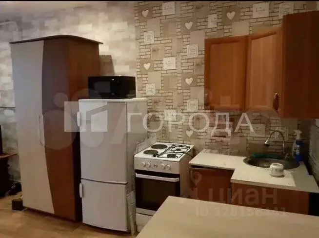 Студия Новосибирская область, Колывань рп ул. Г. Гололобовой, 5 (22.3 ... - Фото 2