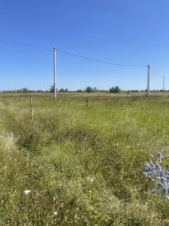 Участок в Воронежская область, Рамонь рп ул. Зеленая, 10 (15.0 сот.) - Фото 1
