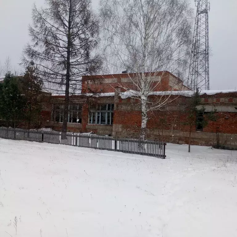 Помещение свободного назначения в Томская область, Первомайский район, ... - Фото 0