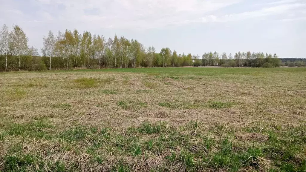Участок в Московская область, Егорьевск муниципальный округ, д. Юрцово ... - Фото 0