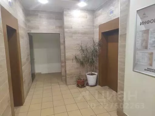 Студия Московская область, Одинцово ул. Гвардейская, 9 (33.0 м) - Фото 2