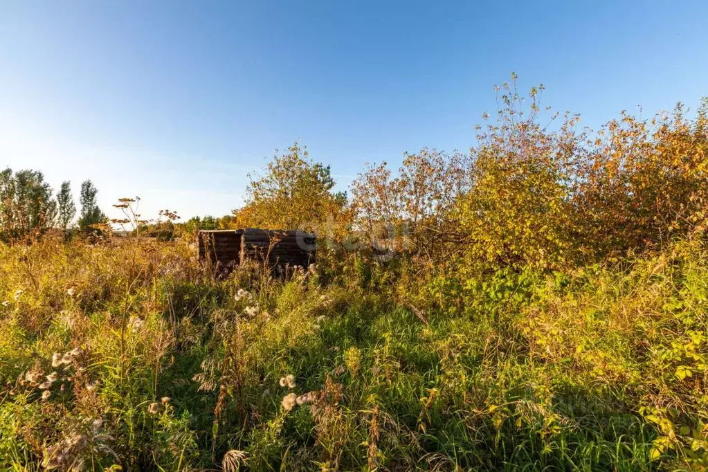 Участок в Свердловская область, Сысертский муниципальный округ, с. ... - Фото 1