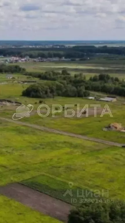 Участок в Тюменская область, Тюменский муниципальный округ, д. Большие ... - Фото 1