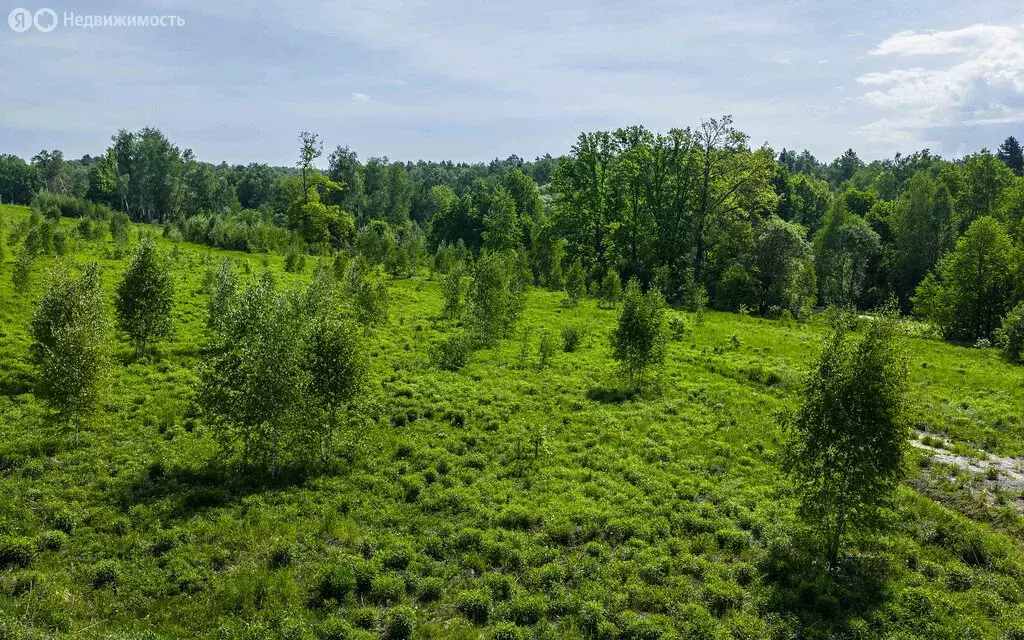Участок в село Старая Ситня, КП Ваниль (4.75 м) - Фото 1