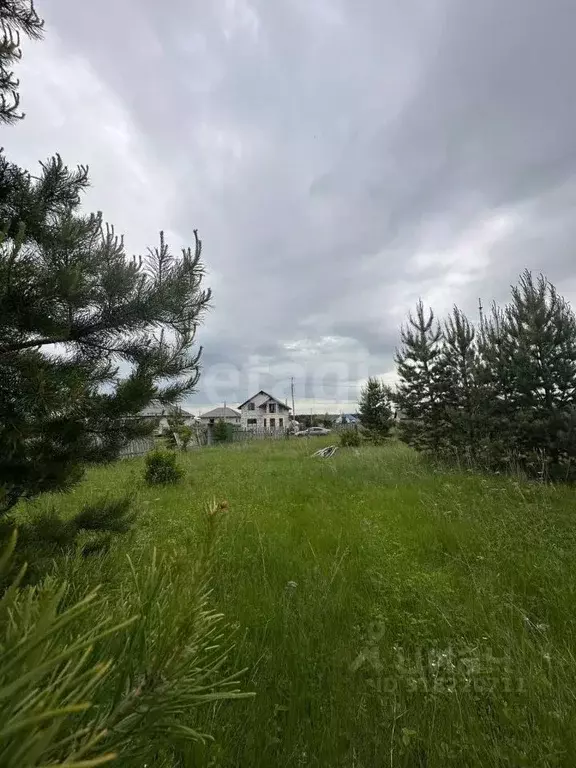 Участок в Курганская область, Шадринск Неглинная ул. (8.2 сот.) - Фото 0