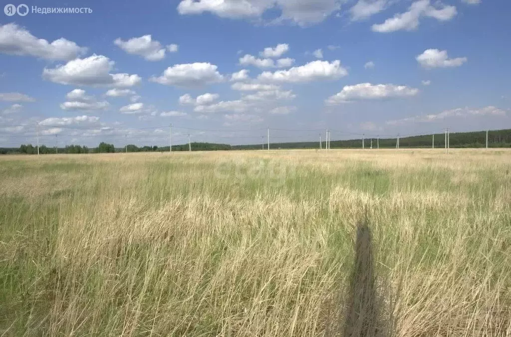 Участок в Заинский район, Дуртмунчинское сельское поселение (6.5 м) - Фото 2