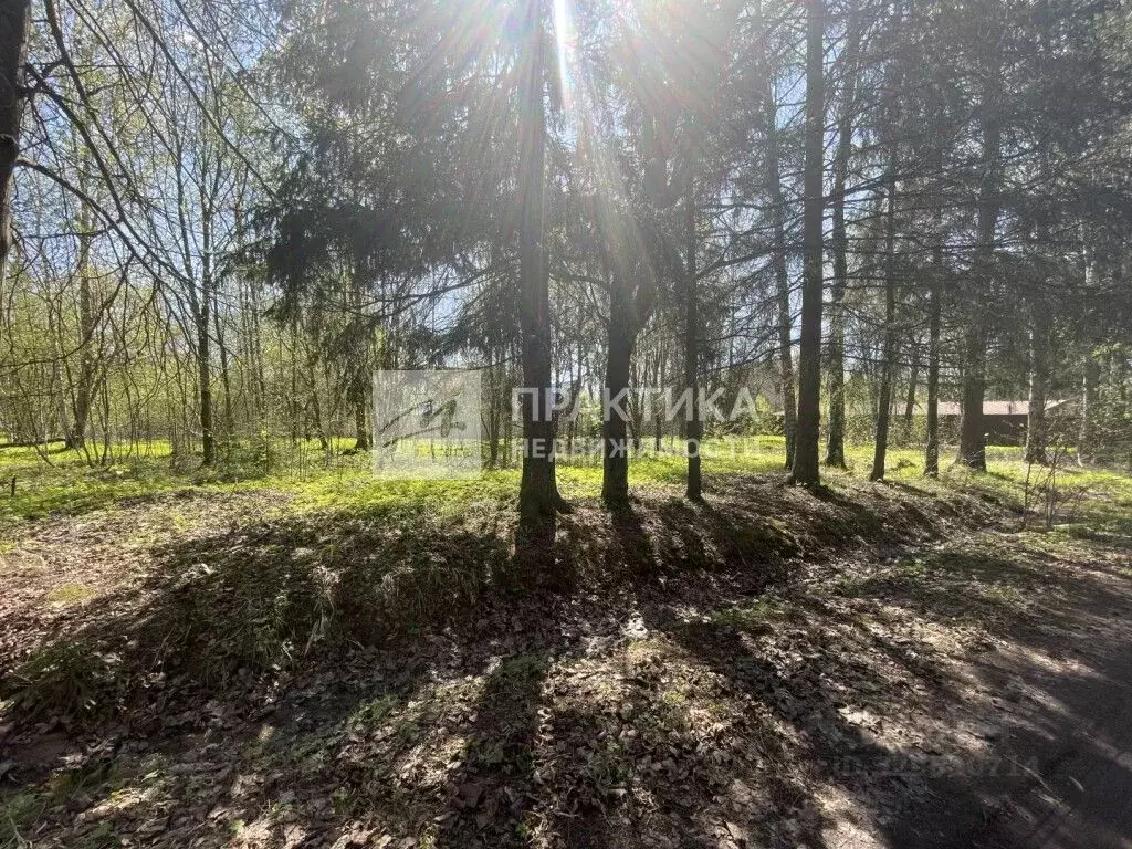 Участок в Московская область, Солнечногорск городской округ, д. ... - Фото 1
