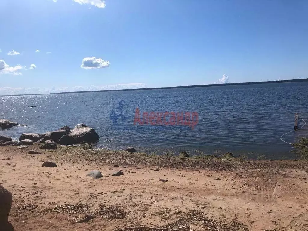 Участок в Ленинградская область, Выборгский район, Приморское ... - Фото 2