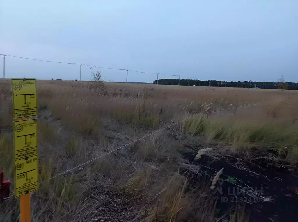 Участок в Татарстан, Тетюши ул. Серебрякова (12.0 сот.) - Фото 1