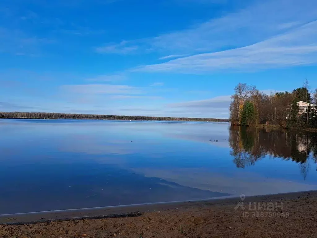 Участок в Ленинградская область, Лодейнопольский район, пос. ... - Фото 1