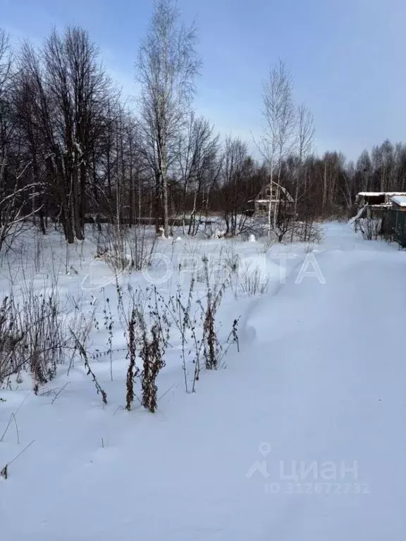 Участок в Тюменская область, Нижнетавдинский район, Фортуна СТ ул. 6-я ... - Фото 1