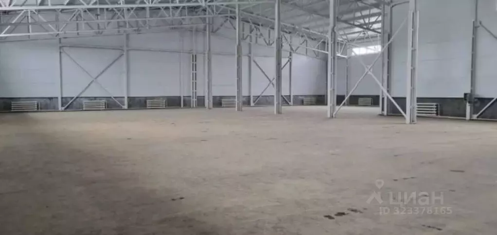 Склад в Московская область, Щелково Браварская ул., 100 (1433 м) - Фото 2