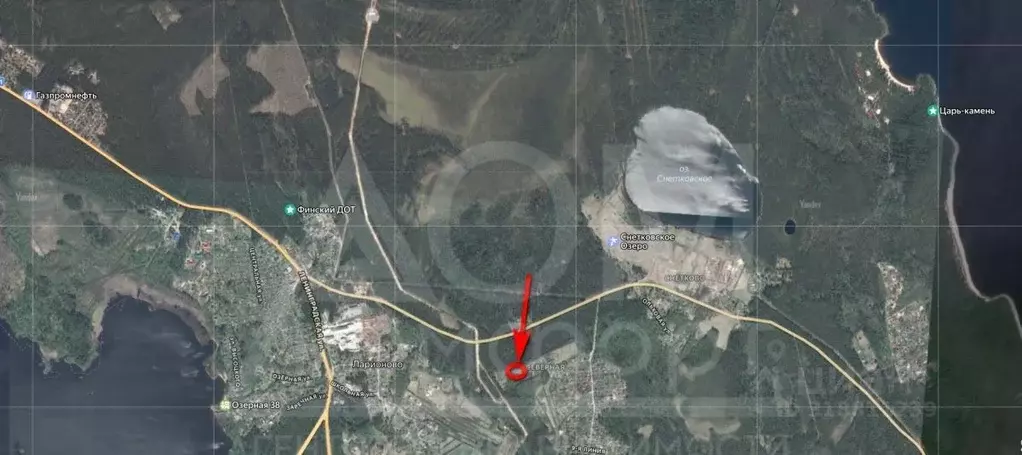 Участок в Ленинградская область, Приозерский район, Ларионовское ... - Фото 2