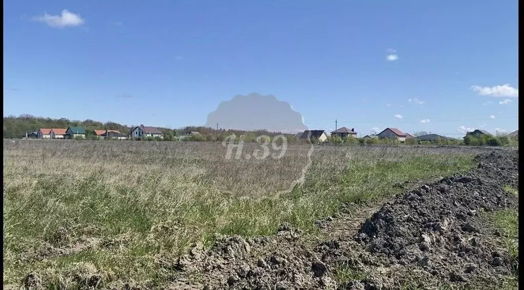 Участок в Калининградская область, Гурьевский муниципальный округ, ... - Фото 2