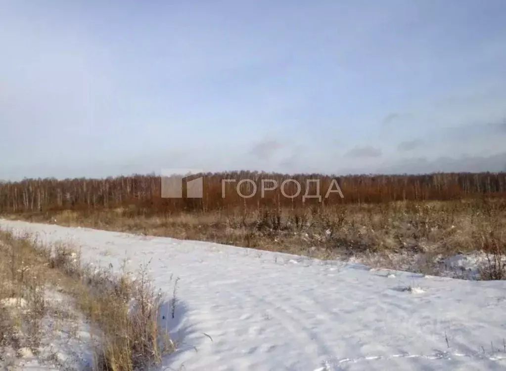 Участок в Кемеровская область, Новокузнецкий муниципальный округ, с. ... - Фото 1