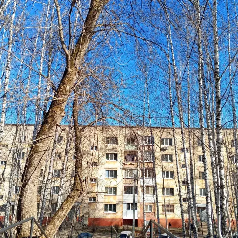 1-к кв. Пермский край, Пермь ул. Чехова, 6 (32.2 м) - Фото 1