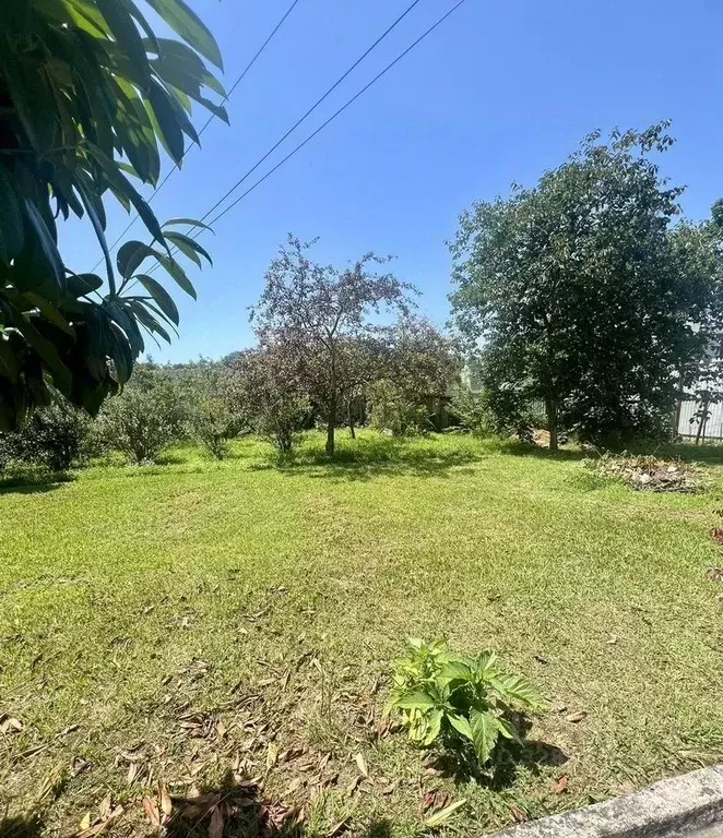 Участок в Краснодарский край, Сочи городской округ, с. Орел-Изумруд ... - Фото 2