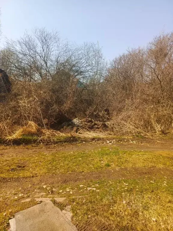 Участок в Владимирская область, Суздальский район, Селецкое ... - Фото 0
