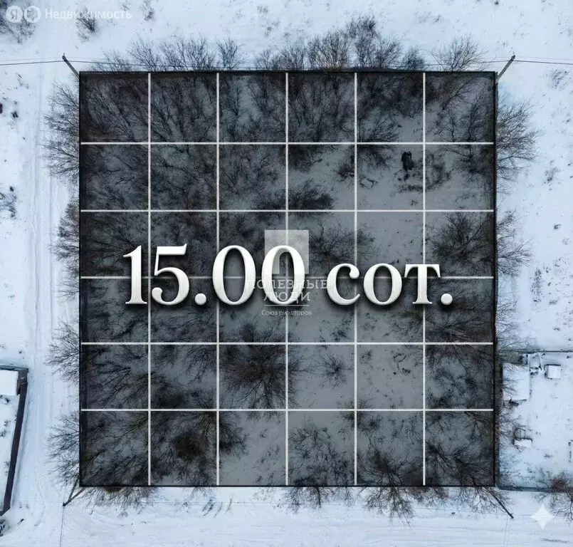 Участок в Благовещенск, посёлок Зазейский (14.97 м) - Фото 2
