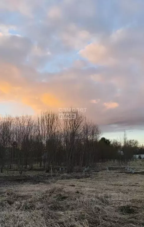Участок в Ленинградская область, Тосненский район, Любанское городское ... - Фото 1
