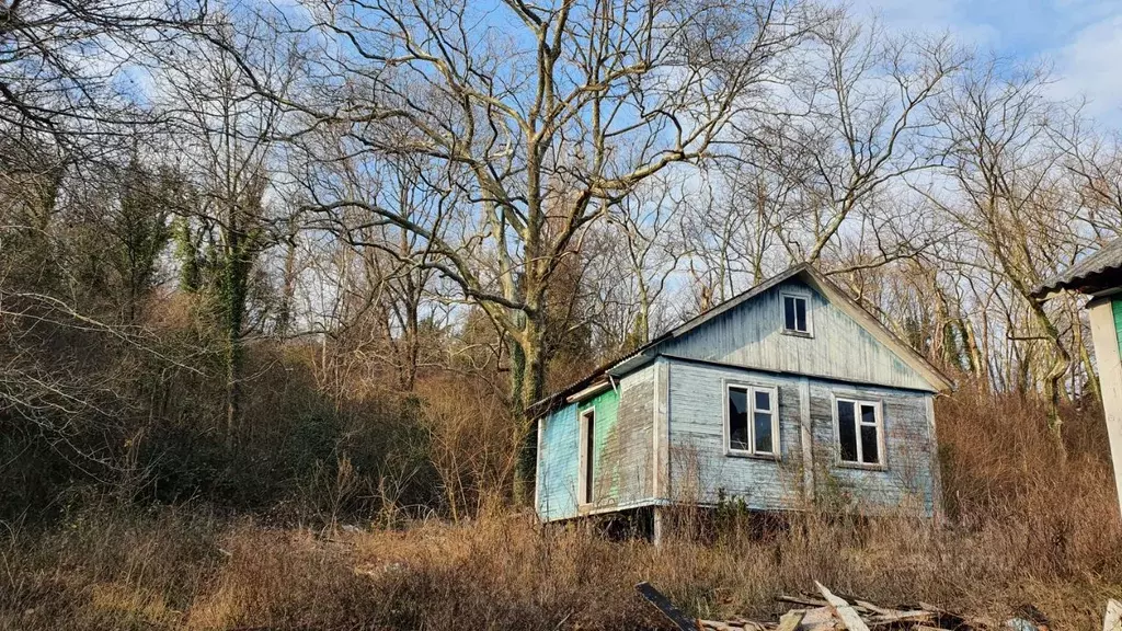 Дом в Краснодарский край, Сочи ул. Свободы (50 м) - Фото 2