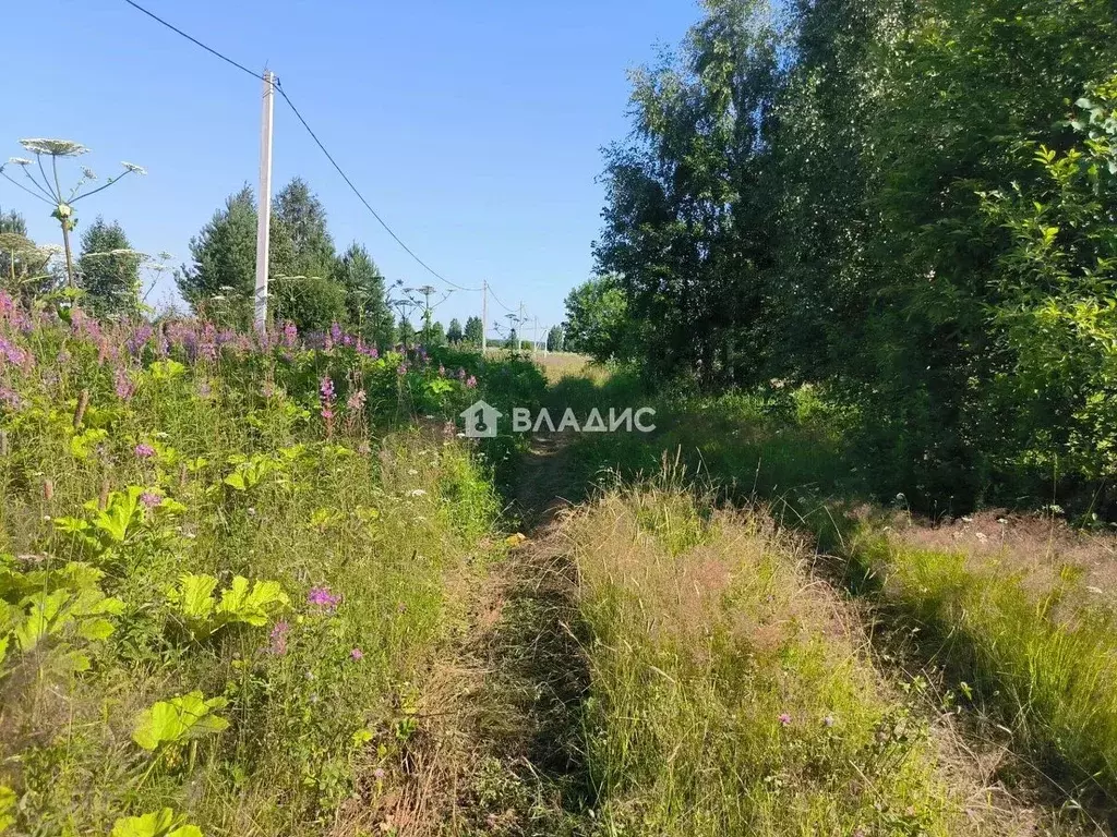 Участок в Пермский край, Пермский муниципальный округ, пос. Красный ... - Фото 1