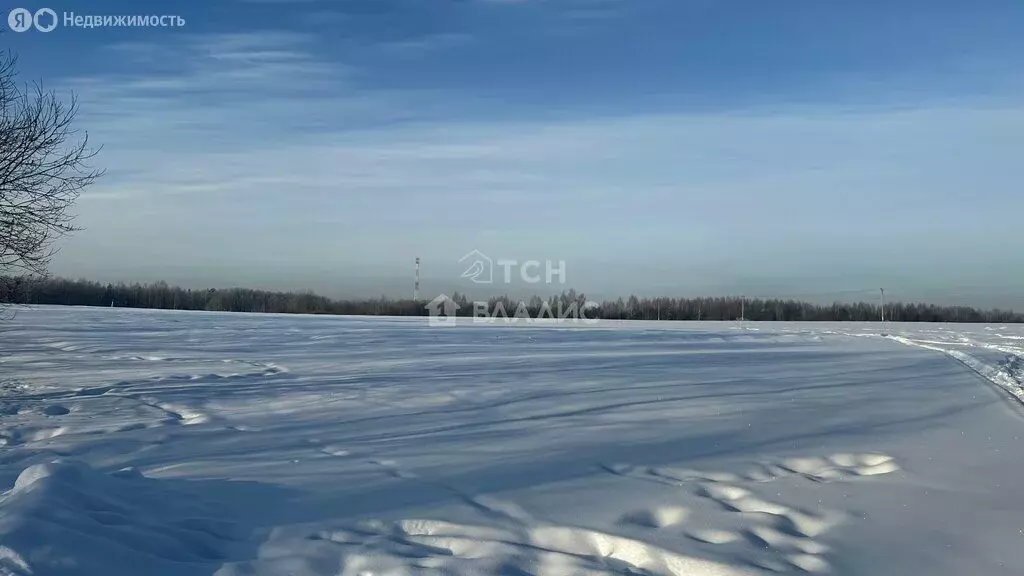 Участок в Богородский городской округ (17 м) - Фото 2