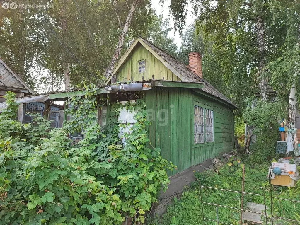 Дом в Красноярский край, Канский муниципальный округ, СО Дружба (20 м) - Фото 2