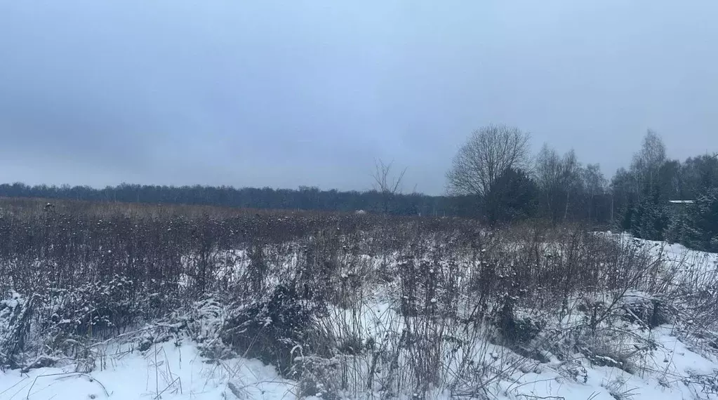 Участок в Московская область, Ступино городской округ, Большое ... - Фото 0