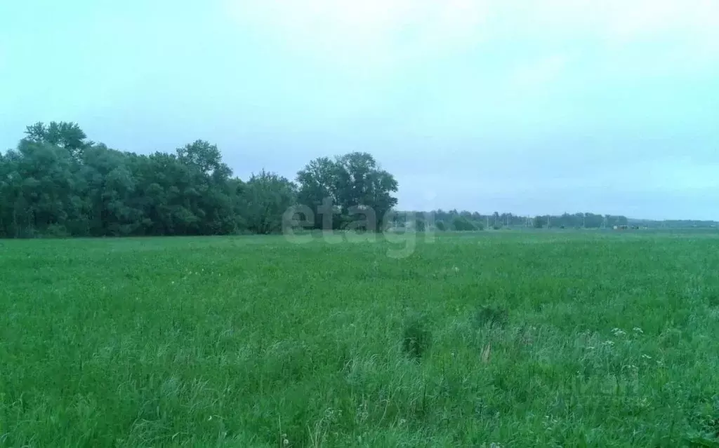 Участок в Московская область, Коломна городской округ, д. Андреевка  ... - Фото 0