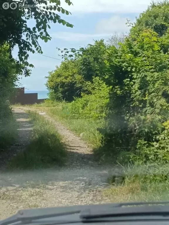 Участок в Сочи, СТ Тополёк (5.4 м) - Фото 2