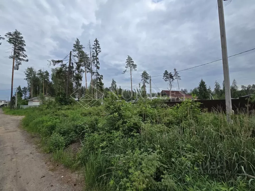 Участок в Московская область, Щелково городской округ, Борисовка кп 34 ... - Фото 1