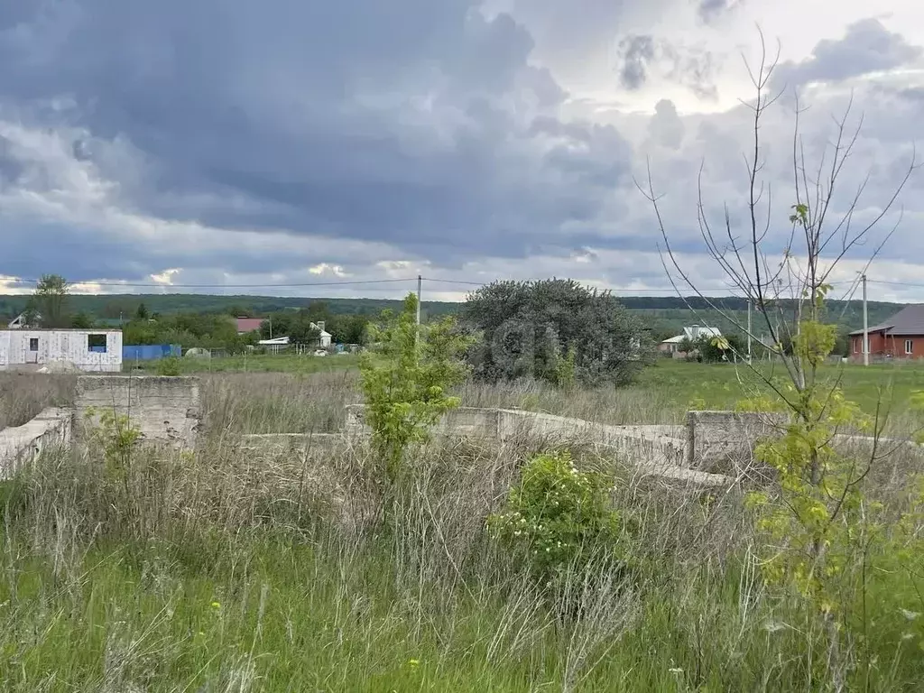 Участок в Белгородская область, Белгородский район, Хохловское с/пос, ... - Фото 0