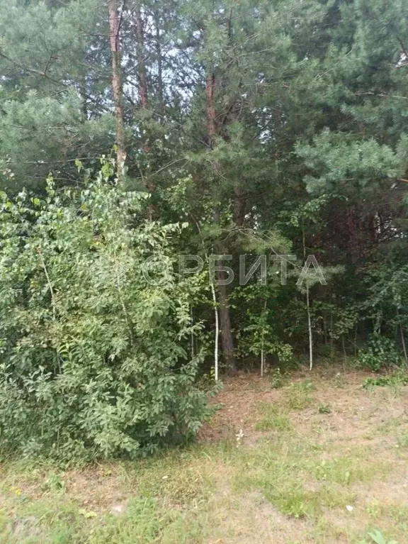 Участок в Тюменская область, Тюменский муниципальный округ, Янтарное ... - Фото 2