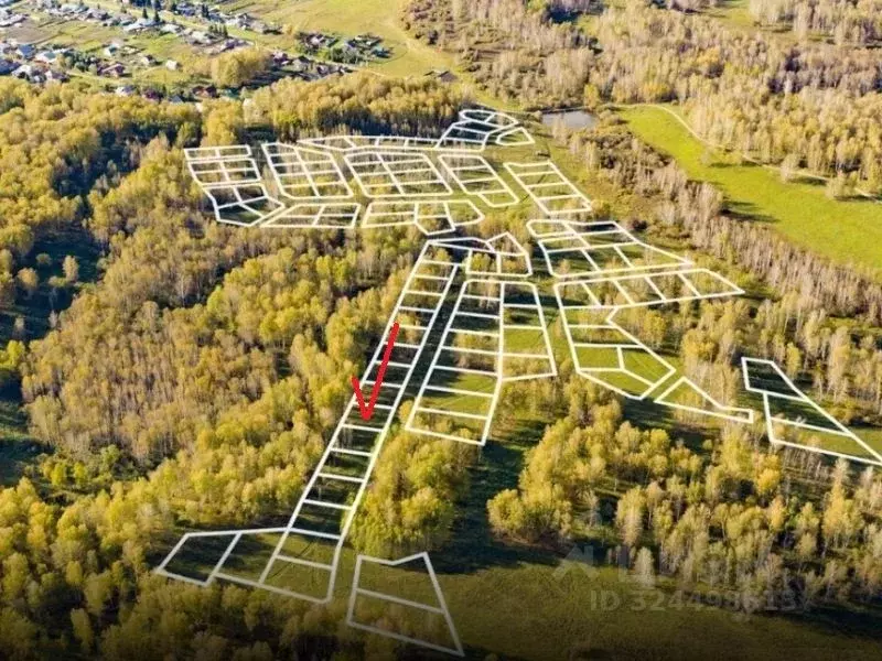 Участок в Новосибирская область, Новосибирский район, Станционный ... - Фото 2