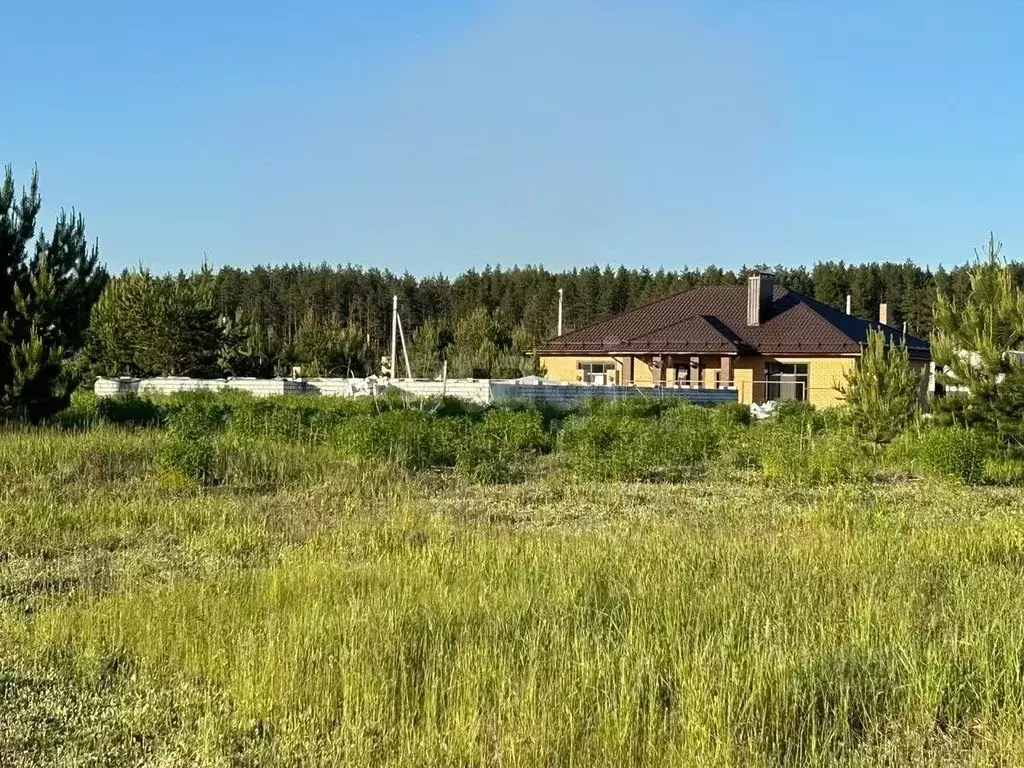 Участок в Брянская область, Брянский район, Новодарковичское с/пос, д. ... - Фото 1