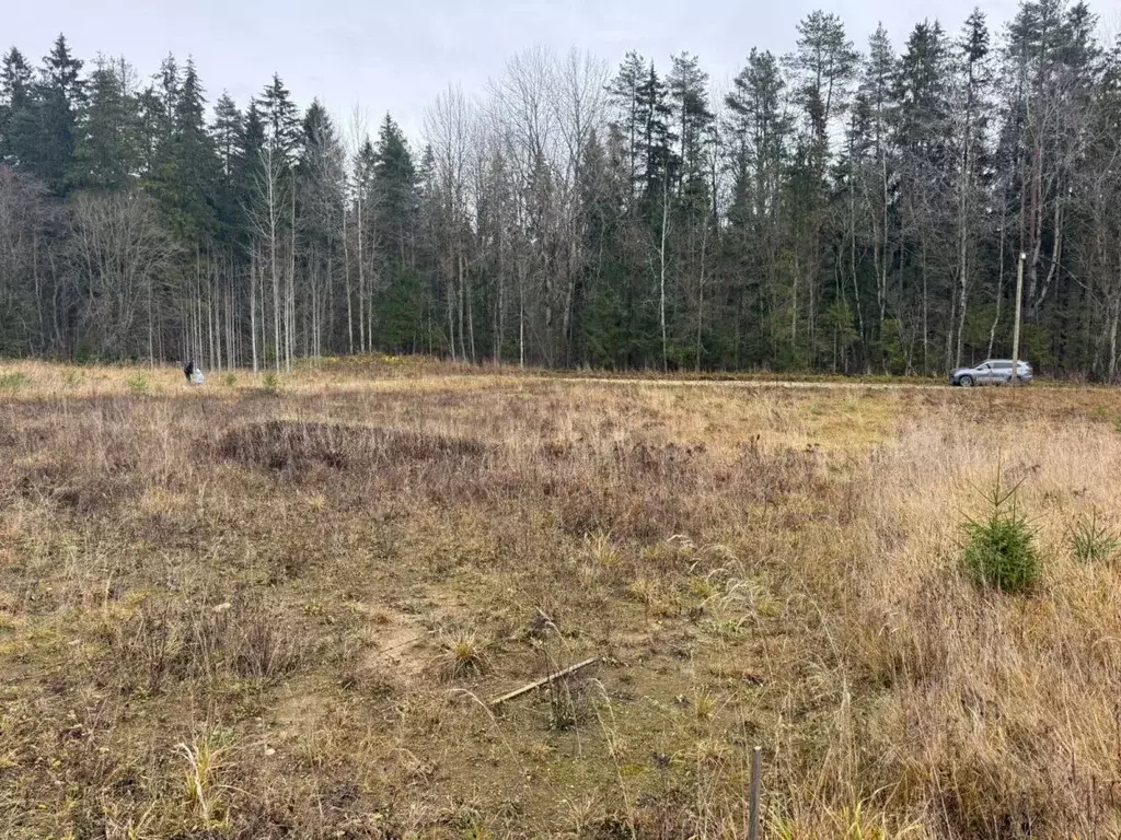 Участок в Ленинградская область, Гатчинский муниципальный округ, д. ... - Фото 2